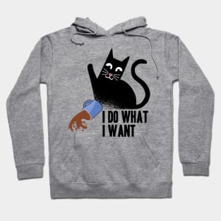 I Do What I Want Funny Cat Coffee Design for Cat Kitty Lovers Hoodie